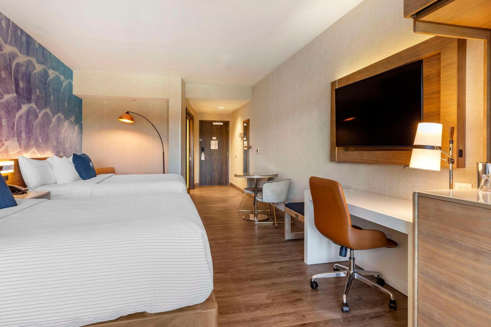 Cambria Hotel Manchester South Windsor 外观 照片