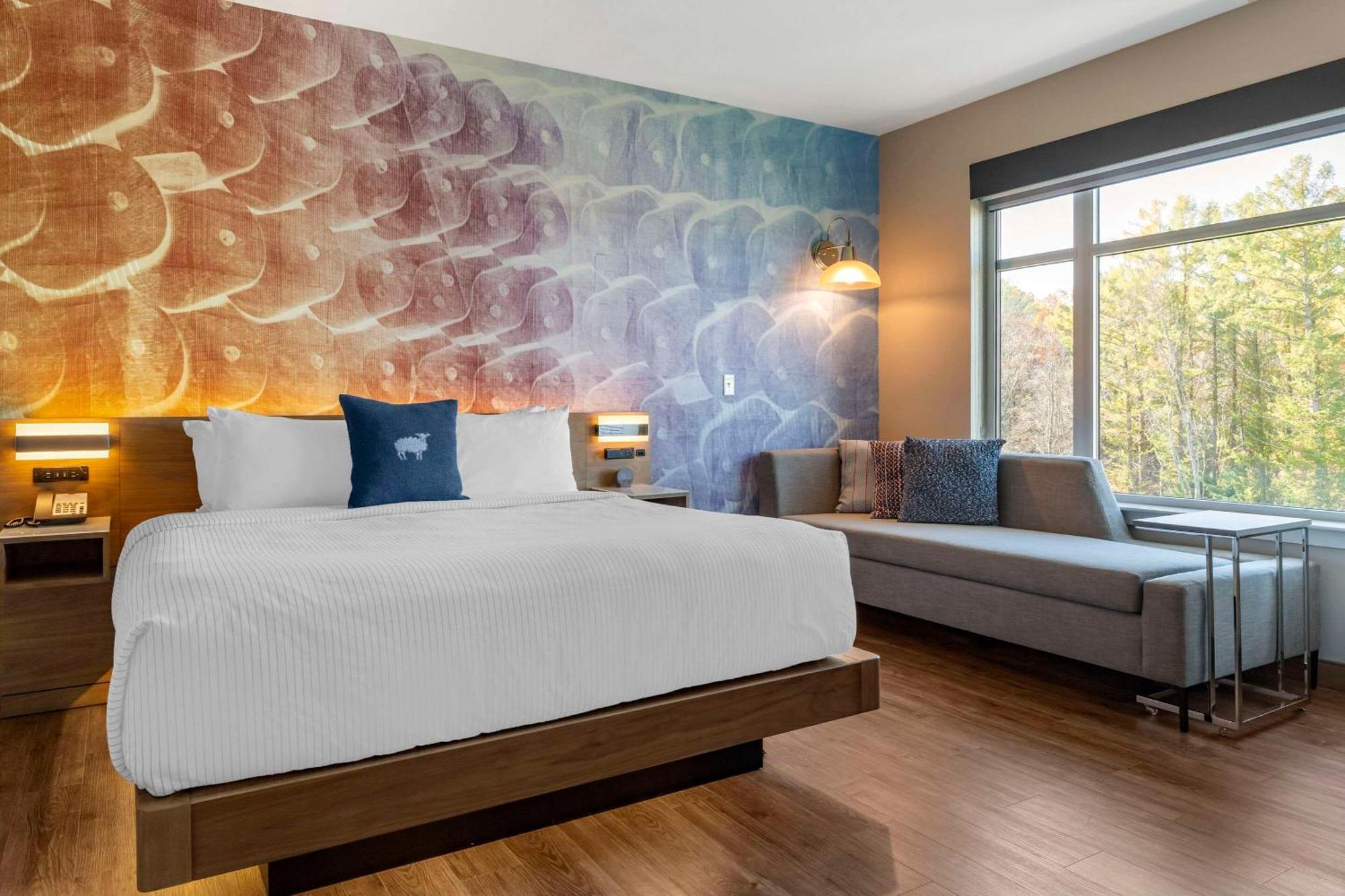 Cambria Hotel Manchester South Windsor 外观 照片