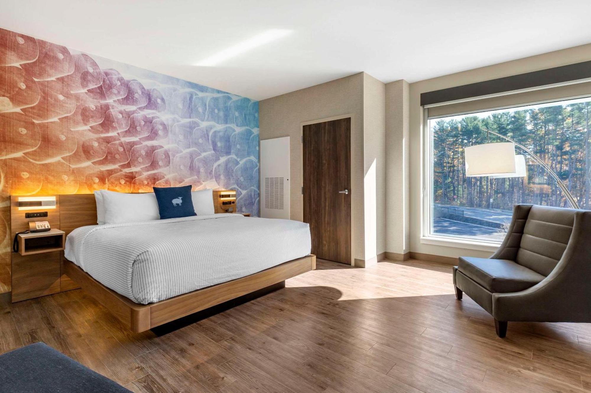 Cambria Hotel Manchester South Windsor 外观 照片
